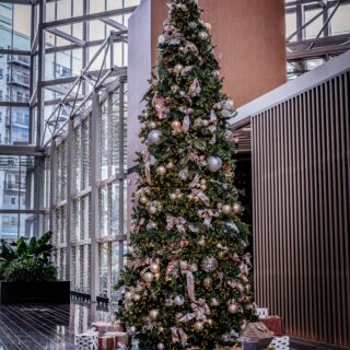 Hotel Christmas Tree Rental
