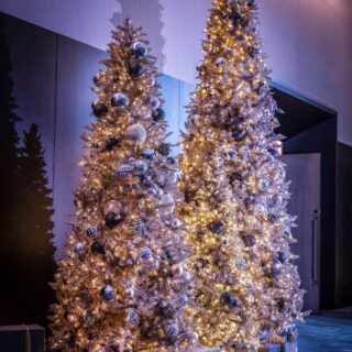 Christmas Trees Austin Hotels