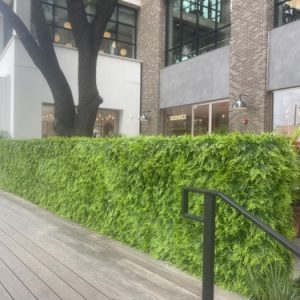 Green Wall 2