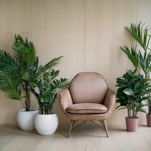 Austin Plant Rental