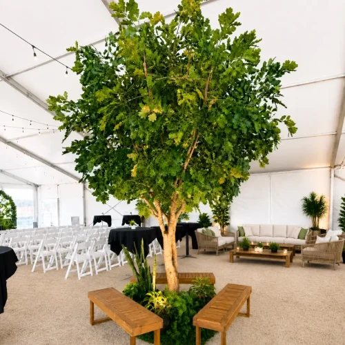 tree2